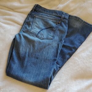 🟦 Joes Jeans Provocateur Jeans